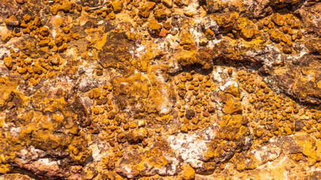 A texture of a stone floorの写真素材