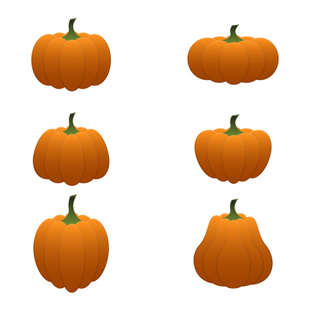 Cartoon pumpkin set. Different shapes orange gourd isolated on white background.のイラスト素材