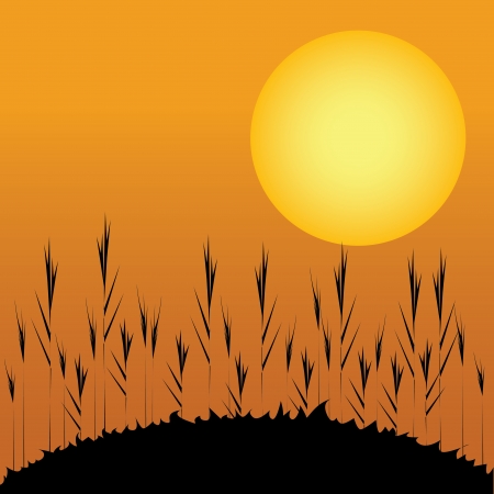 abstract late afternoon on special crop backgroundのイラスト素材