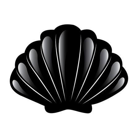 shell silhouette on white backgroundのイラスト素材