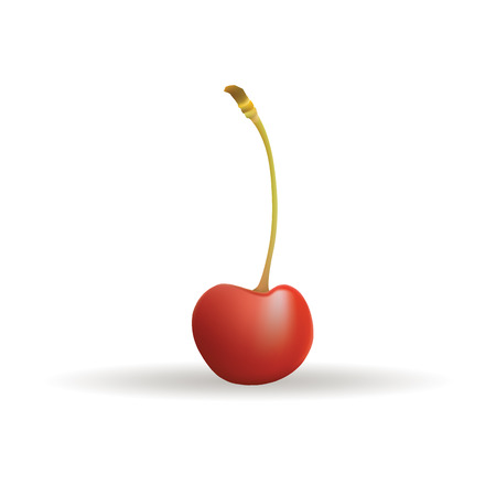 Abstract fruit with shadow effect on white backgroundのイラスト素材