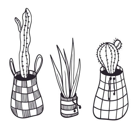 vector house plant and cacti in cute pots illustrationのイラスト素材