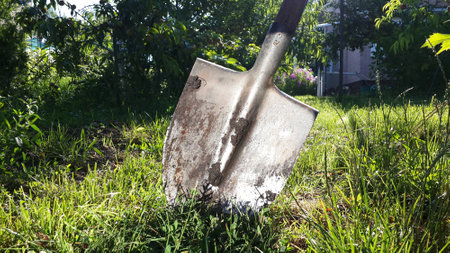 Old agriculture tool. dirty shovel stuck in the ground . Gardening tool close up. garden work conceptの写真素材