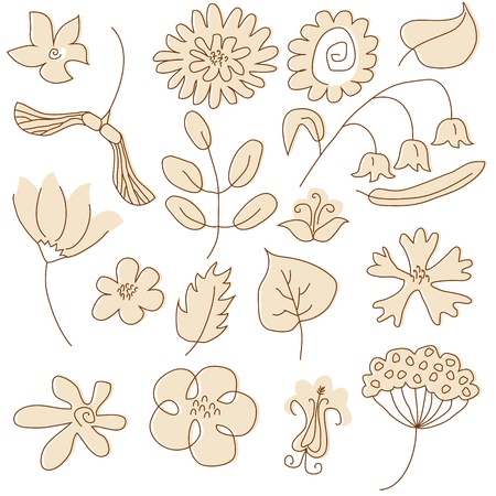 Set of summer floral elements painted in beige colorのイラスト素材