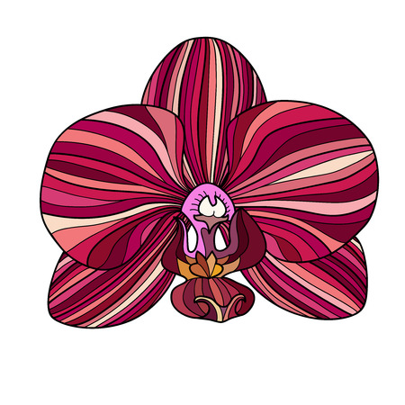 Exotic orchid painted in red colors.のイラスト素材