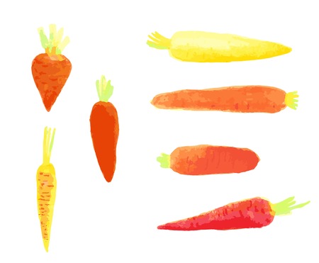 Set of watercolor carrots drawingのイラスト素材