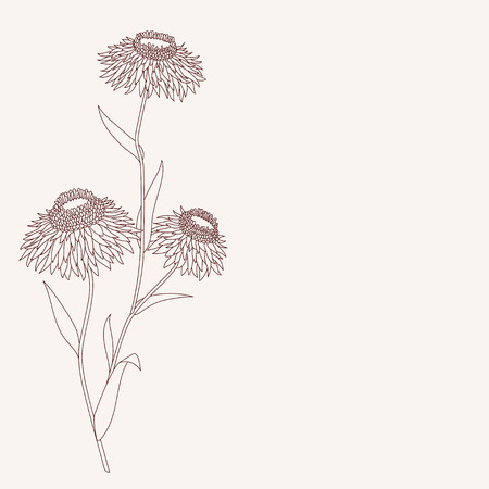 Linear flower drawing detailed vector illustrationのイラスト素材
