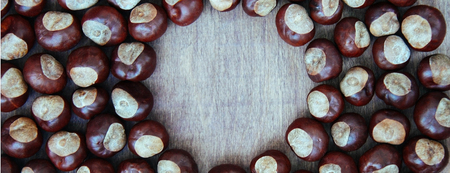 Ripe chestnuts on old wooden background close up with copy space. Top view. Bannerの写真素材