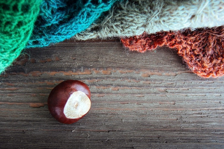 Ripe chestnut on old wooden background close up with copy space. Elegant autumn concept. Bright....