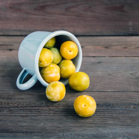 Fresh yellow plums in enameled cup on wooden rustic background. Russian homemade fruit. Front view.の写真素材