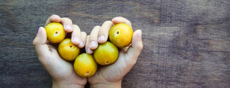 Fresh yellow plums in child hands like heart on wooden rustic background. Russian homemade fruit. Top view. Web banner. Copy spaceの写真素材