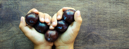 Fresh violet plums in child hands like heart on wooden rustic background. Russian homemade fruit. Top view. Web banner. Copy spaceの写真素材