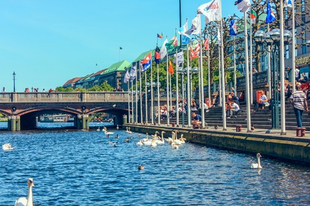 A picturesque lake Alstersee in the central historical district Roterbaum of Hamburg, Germany.June 2010. People on the steps of the stairs fed swans, ducks, geese. Popular vacation spot, health trailのeditorial素材