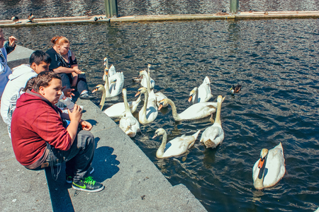 A picturesque lake Alstersee in the central historical district Roterbaum of Hamburg, Germany.June 2010. People on the steps of the stairs fed swans, ducks, geese. Popular vacation spot, health trailのeditorial素材