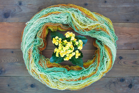 Blue brown yellow wool and flowering kalanchoe on wooden rustic background. Copy space, top view, flat layの写真素材