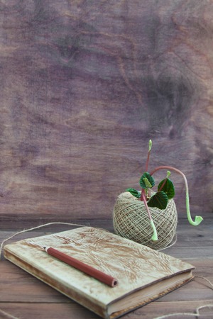 Leather notepad with a pencil twine for garter with cuttings of the plant peperomia on a brown rustick wooden background. Front view, copy space for text.の写真素材