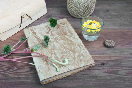 Leather notepad with pencil twine for garter with cuttings of the plant peperomy peat tablet wooden chest glass with yellow flowers floating in water Kalanchoe on brown wooden backgroundの写真素材