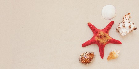 Red starfish and mollusk shells on pure white fine beach sand. Sea relax background with place for text, copy space. Top view, copy space. Web bannerの写真素材