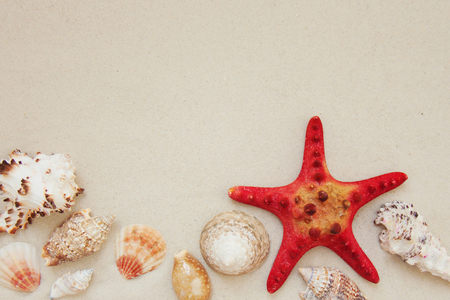 Red starfish and mollusk shells on pure white fine beach sand. Sea relax background with place for text, copy space. Top view, copy spaceの写真素材