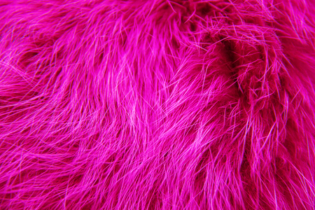 Polar arctic fox fur texture trendy color, closeup flatlay