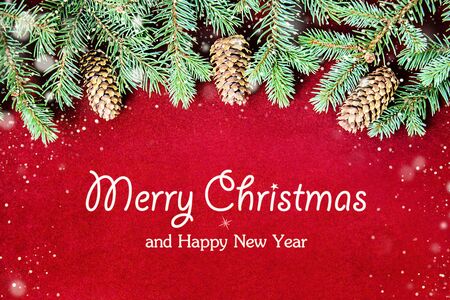 Christmas decoration background with fresh natural branches of tree spruce on red velvet background. Card concept. Closeup. Top view. Flat lay. Template.の写真素材