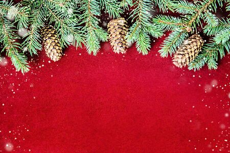 Splendid natural background for Christmas and New year holidays with pine branches and velvet. Copy space for template. Flat lay, top view.の写真素材