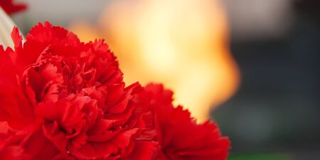 Symbols of memory and respect of the victory of Soviet soldiers in the Second World War and the Russian military in armed conflicts. 9 May, 23 February card concept. Copy space for text inscriptionsの写真素材