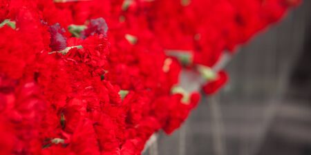 Symbols of memory and respect of the victory of Soviet soldiers in the Second World War and the Russian military in armed conflicts. 9 May, 23 February card concept. Copy space for text inscriptionsの写真素材