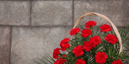 Red carnations with grey stone background. 9 May, 23 February card concept, copy space, bannerの写真素材