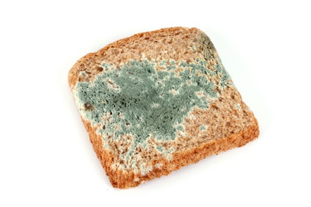 Verschimmeltes Toastbrotの写真素材