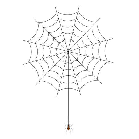 Illustration of spiderweb with spider on white backgroundのイラスト素材