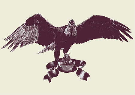 graphic vector illustration of a n eagle spreading its wings .  Vector illustration.のイラスト素材