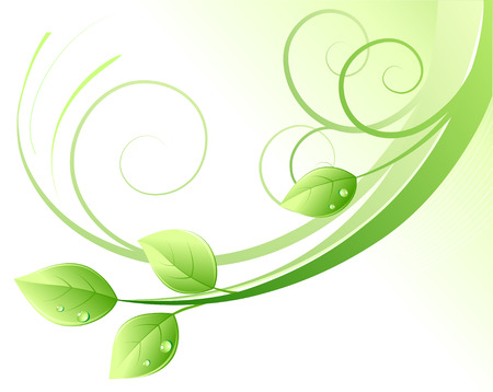 Vector illustration of green abstract background and leaves with water dropsのイラスト素材