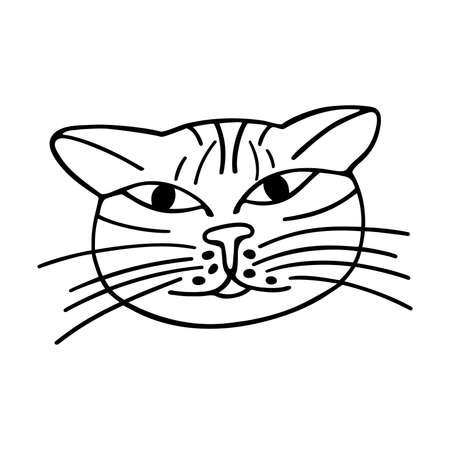Cat do not care. Funny trendy doodle illustration. Black contour on white background as a print, sticker, card, poster, sign, tatoo.のイラスト素材