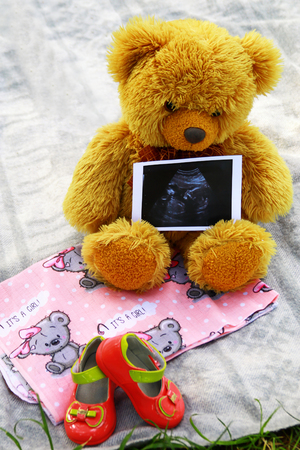 Pregnancy. Waiting for the child.Teddy bear with the ultrasound result.  Baby shoes for girls.の写真素材