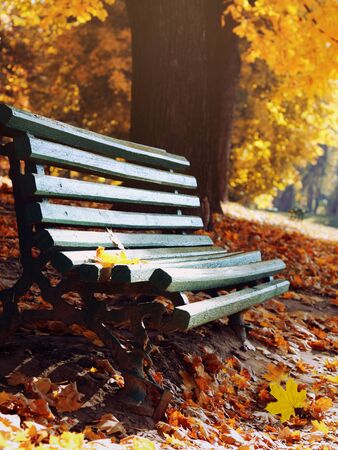 autumn, park bench. leaf fall. fall foliageの写真素材