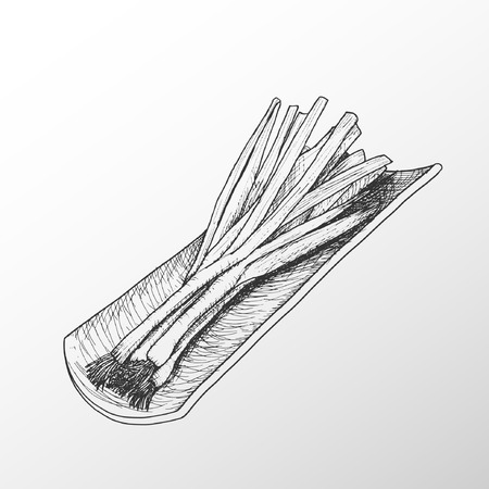 Vector drawing of a bunch of keys with roof tile. Scallions.のイラスト素材