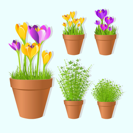 Set of vector spring garden flowers in tots.のイラスト素材