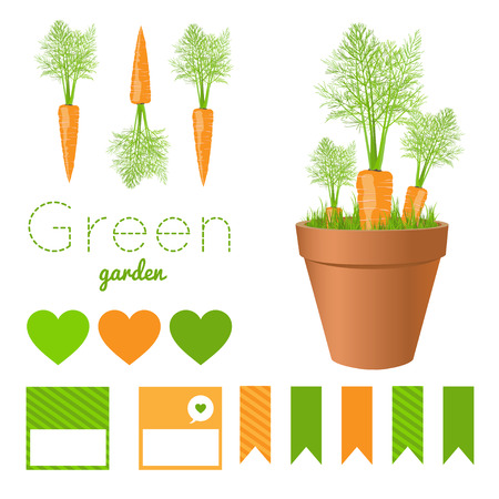 Set of garden pots with fresh carrots and greens.のイラスト素材