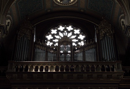 Organのeditorial素材