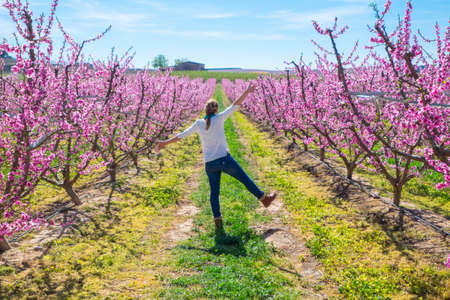 Woman in the middle of a field with peach tree blooming in spring day in Lleida (Catalonia, Spain). There are a lot of a blooming fields in Aitona, Alcarras and Torres de Segre.の写真素材