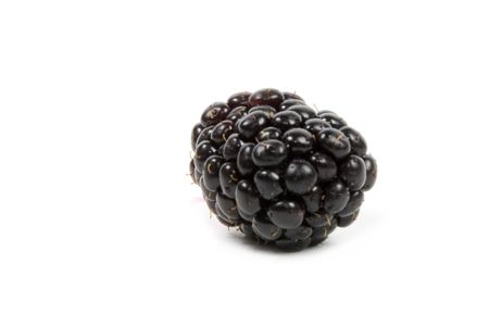 blackberry on a white backgroundの写真素材