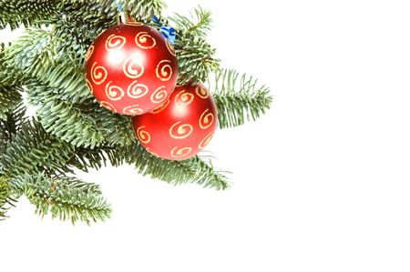 Red christmas ball in tree with room for text isolated on white backgroundの写真素材