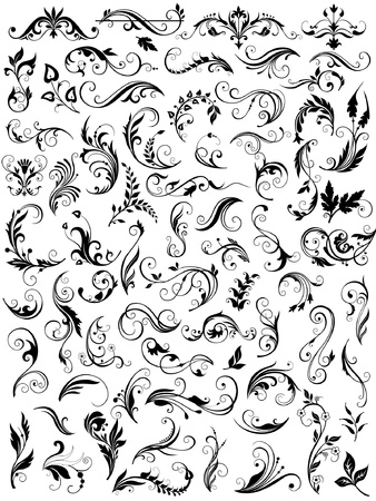 Floral decorative elementsのイラスト素材