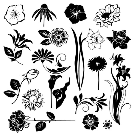 Set  of flower design elements isolated on White backgroundのイラスト素材