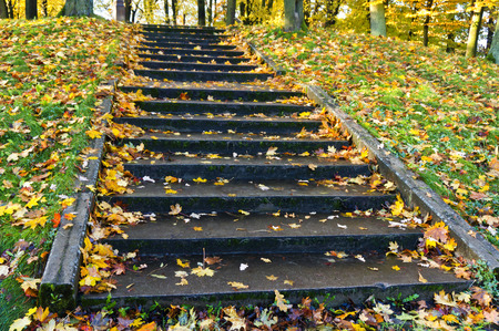 autumn in the Park, autumn forest, yellow and red leaves on trees in autumn, steps covered in fallen...