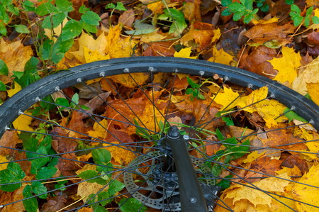 Bicycle wheel on autumn leaves, Bicycle wheel at autumn leaves, colorful leaves and use from the bikeの写真素材