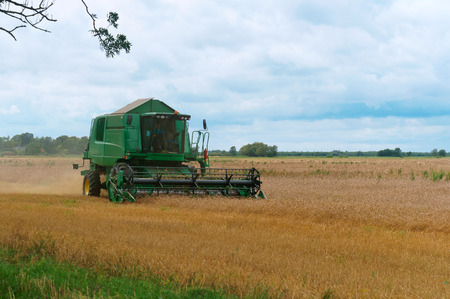 green harvester harvester harvests, the tractor is working in the field