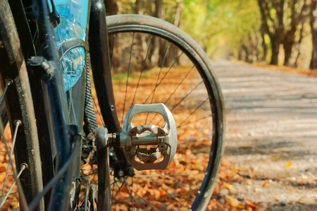 bike on forest trail, black bike in forest in autumnの写真素材