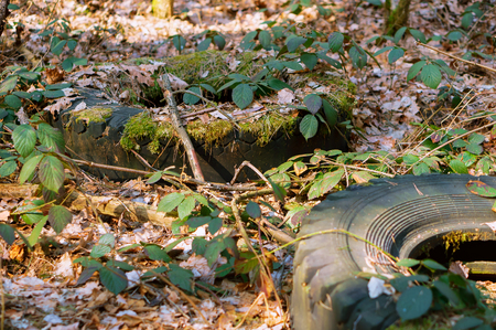 car tires in the woods, old tires in the forestの写真素材